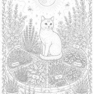 May include: A black and white line art illustration featuring a cat sitting in the center of a circular herb garden. The garden is divided into sections labeled Lavender, Mint, Rosemary, Chamomile, Sage, and Thyme. A full moon and stars appear above.