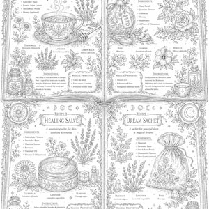 May include: A black and white line art illustration of an open book featuring four recipes: Calming Tea, Love Potion, Healing Salve, and Dream Sachet. Each section includes botanical drawings, ingredient lists, instructions, and magical properties.