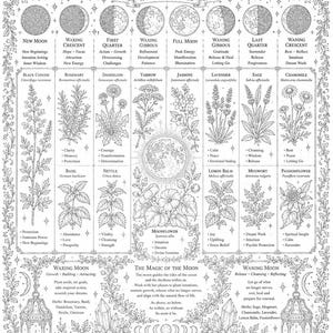 Witchy Coloring Book Bundle: 40 Apothecary, Tarot and Crystal Pages, Instant Download PDF image 11