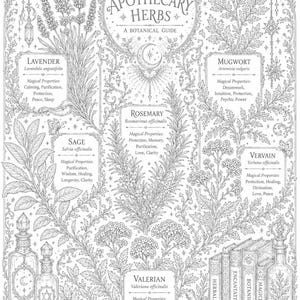 May include: A black and white botanical illustration titled Magical Apothecary Herbs, A Botanical Guide. It features detailed drawings of lavender, sage, rosemary, mugwort, vervain, and valerian, alongside apothecary bottles, books, and crystals.
