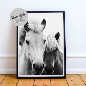 Black and White Horse Printable