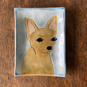 May include: A ceramic dish with a light blue background and a brown and white dog illustration. The dog has black eyes and a black nose.