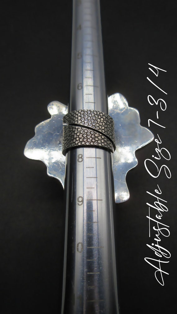 Federico Jimenez-Triangular Shaped Japanese Biwa … - image 6