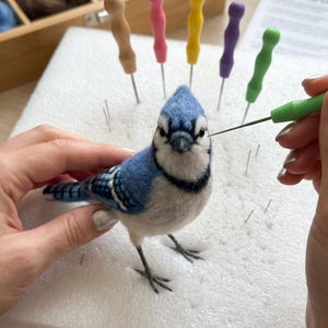 Peut inclure: Une figurine de geai bleu en laine feutrée aux fibres bleues, blanches et noires, dotée d'une crête, d'yeux sombres et d'un bec pointu. L'oiseau est posé sur un bloc de mousse blanc avec plusieurs aiguilles à feutrer aux manches colorés.