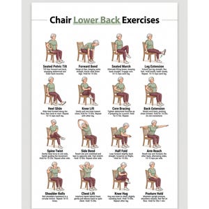 May include: An instructional poster titled Chair Lower Back Exercises featuring sixteen illustrations of a person in a green shirt and maroon pants performing various seated stretches and movements on a wooden chair with descriptive text for each.