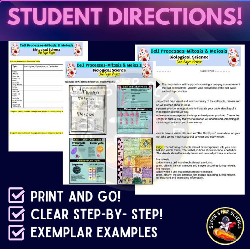 Cell Division Mitosis Meiosis One Pager Biology Project W/ Templates ...