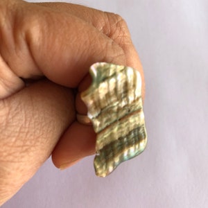 May include: A ring made from a large, iridescent seashell with a natural, irregular shape. The shell is a mix of green, brown, and gold tones.