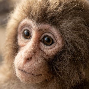 May include: A needle felted sculpture of a Japanese macaque face with dense, textured light brown wool fibers. The figure features realistic dark brown glass eyes, a pale pinkish muzzle, and a soft, fuzzy appearance with intricate detailing.