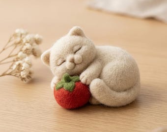 Cute Sleeping Cat DIY Craft Set Stress Relief Hobby Gift Needle Felting Kit for Beginners