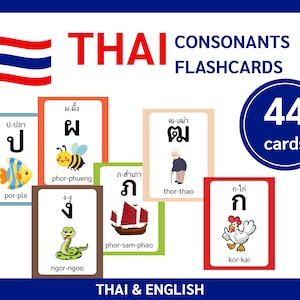 Könnte beinhalten: Ein Set aus 44 Thai-Konsonanten-Lernkarten mit thailändischem und englischem Text. Jede Karte zeigt ein thailändisches Schriftzeichen, den englischen phonetischen Namen und eine farbige Illustration wie einen Fisch, eine Biene oder ein Schiff.
