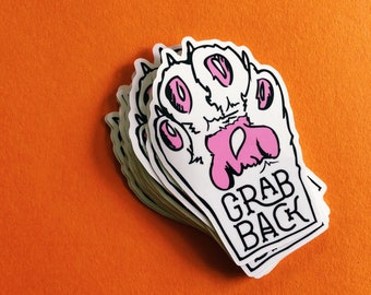 Feminist Vinyl Sticker | GRAB BACK | Pussy Grabs Back Decal | Smash the Patriarchy Sticker | Nasty Woman Weatherproof Stickers | UV Safe