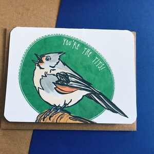 May include: A greeting card with a green circle and a white bird with black and orange markings. The text "You're the Tits!" is written in white on the green circle.