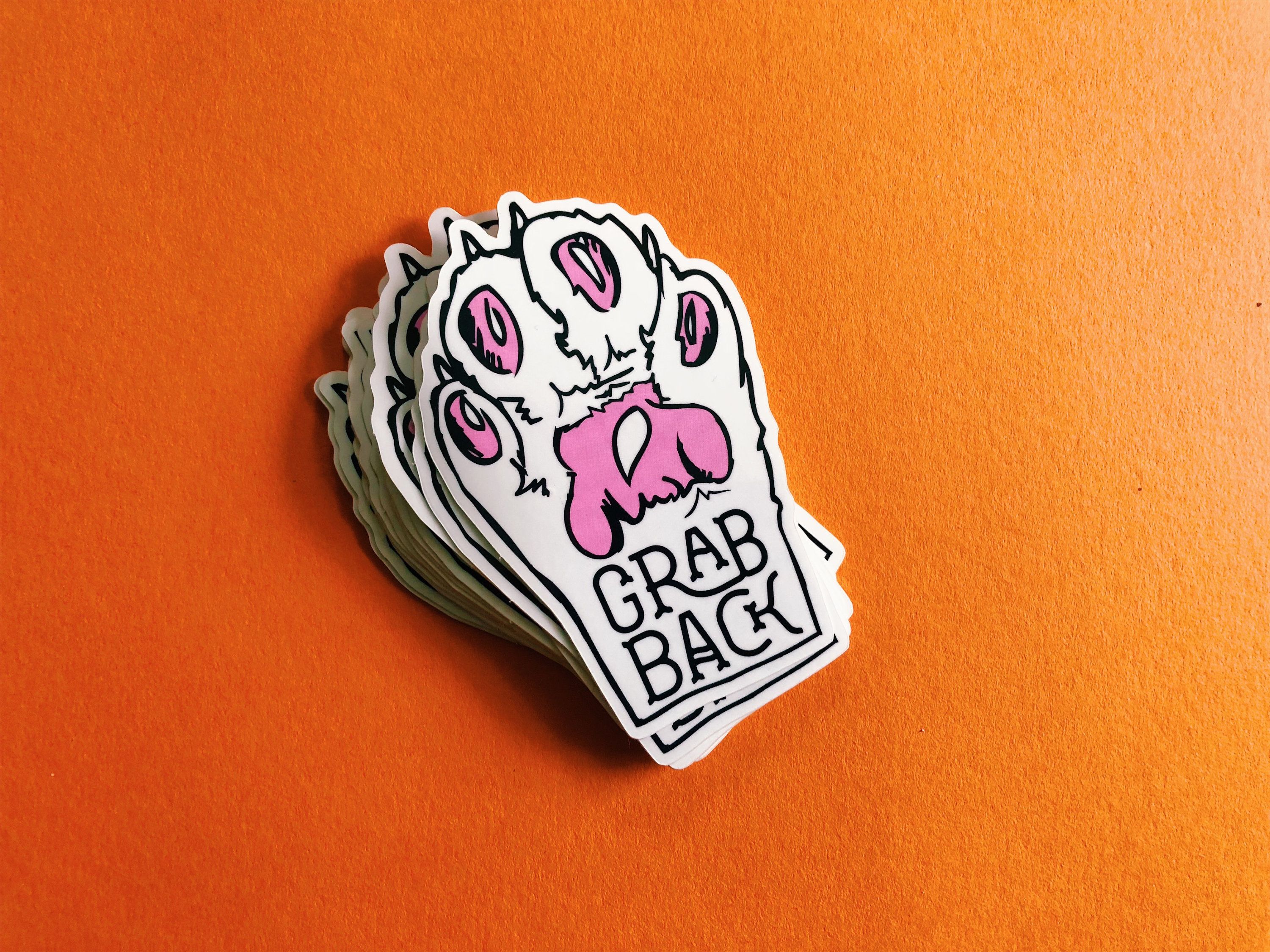 Feminist Vinyl Sticker GRAB BACK Pussy Grabs Back Decal | Etsy