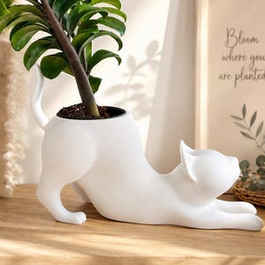 Puede incluir: Una maceta blanca con forma de gato con una planta verde. El gato está en posición de estiramiento, con la cabeza y las patas delanteras extendidas. La maceta está sobre una superficie de madera.