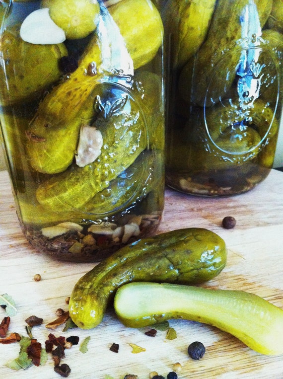 Items similar to Hand Canned Homestyle PICKLES Whole Kirby Dills Quart