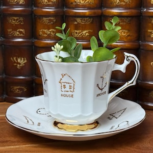 May include: A white porcelain teacup and saucer set featuring gold-colored line drawings of various objects including a house and an anchor, each labeled with its corresponding English name. The cup has a scalloped rim and a gold-trimmed handle.