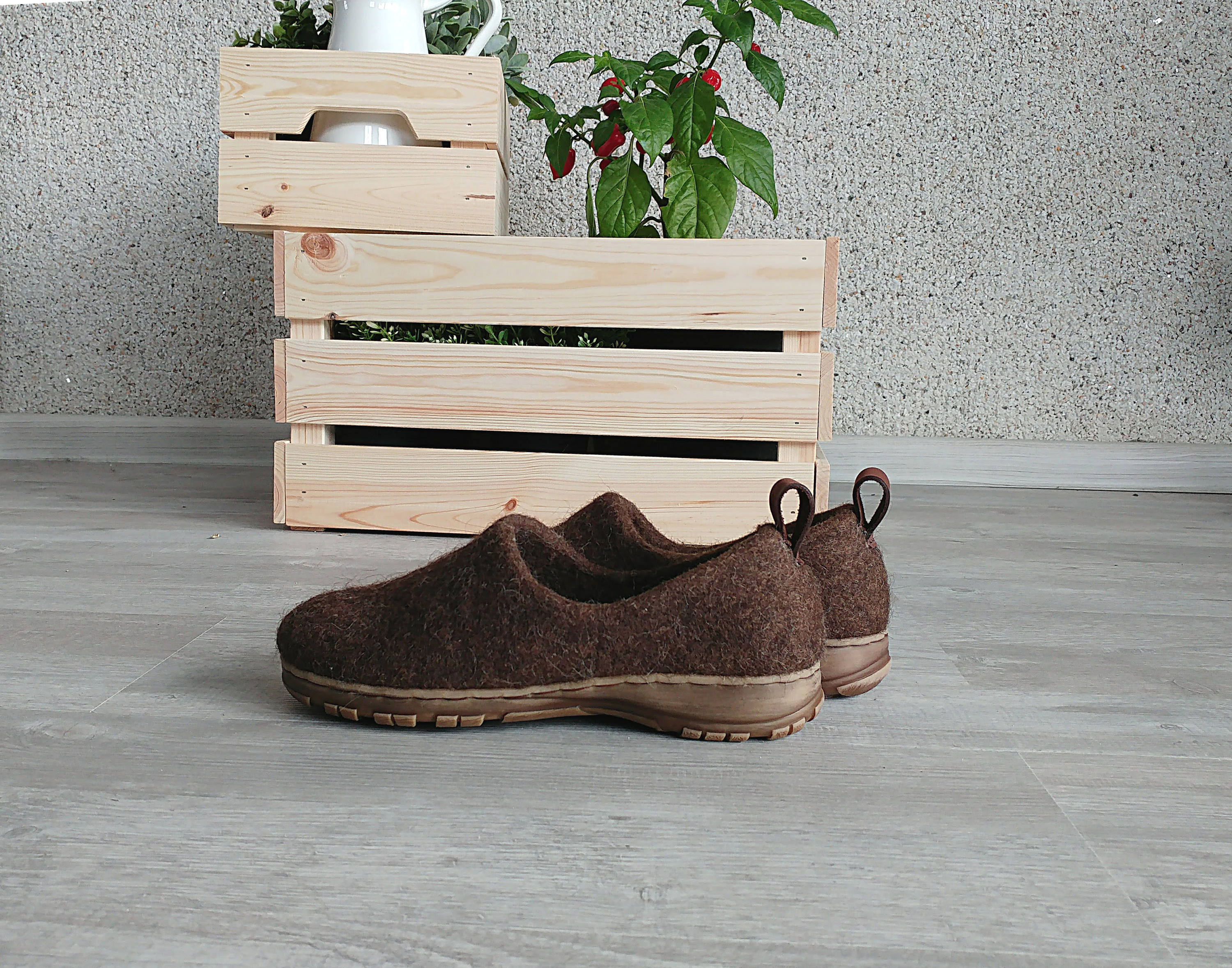 Plantas ciabatte shop 2018