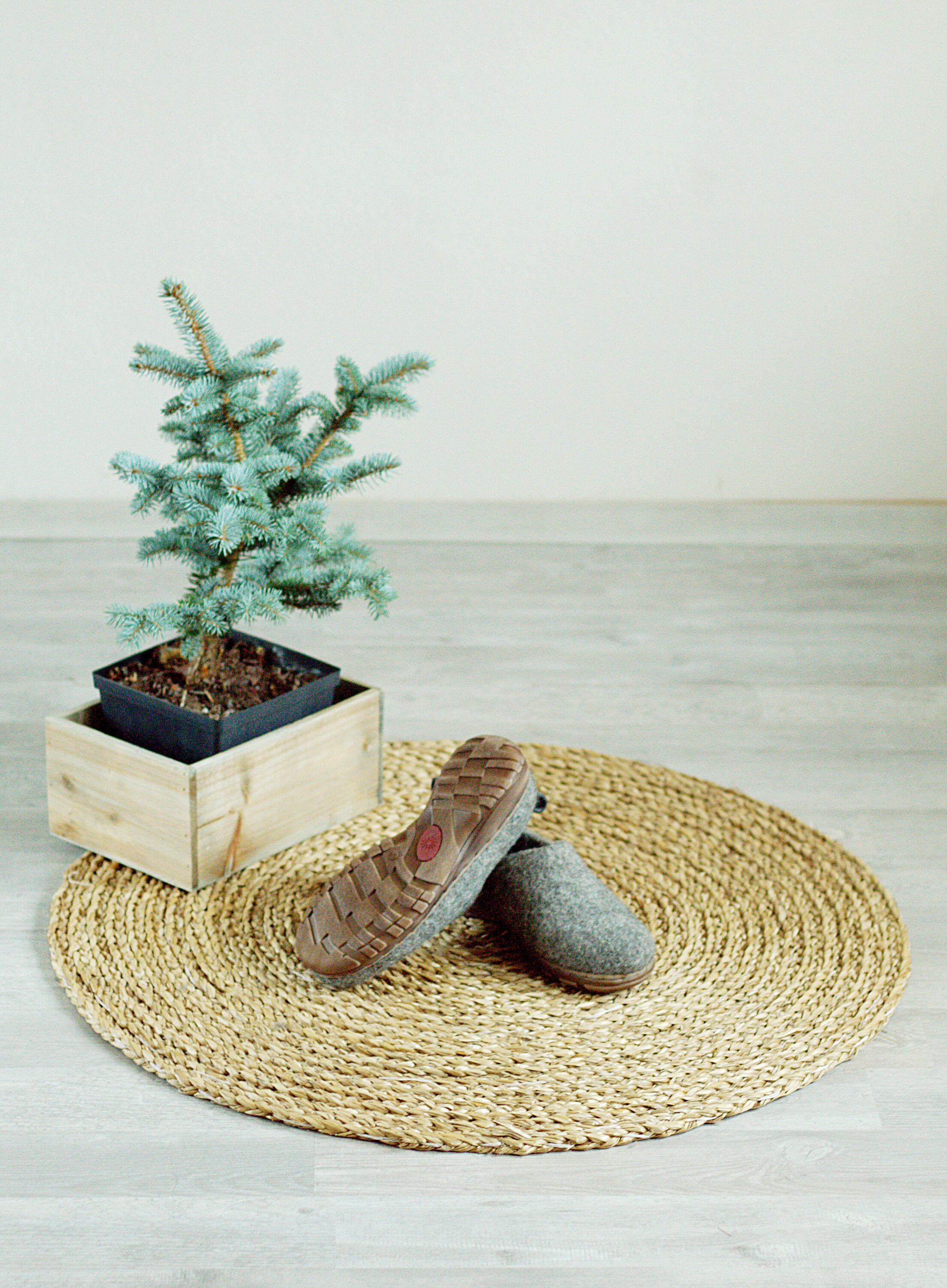 wool clogs with cork soles