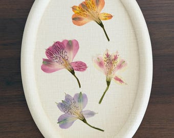 May include: An oval-shaped wall hanging featuring four pressed alstroemeria flowers arranged on a cream-colored fabric background. The flowers are orange, pink, light pink, and purple, each with distinct dark speckles on their petals.