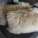 see more listings in the mongolian Lamb Fur section