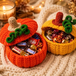 Può includere: Due contenitori all'uncinetto a forma di zucca, uno arancione e uno giallo, ciascuno dotato di un gambo e viticci verdi ricci. Il contenitore arancione ha un coperchio ed è riempito con barrette di cioccolato come Twix, Snickers e KitKat. Il contenitore giallo è aperto e contiene vari dolci incartati.