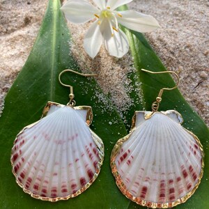 Peut inclure: Boucles d'oreilles coquillage avec bordure et crochets dorés. Les coquillages blancs présentent des accents rouges, présentés sur une feuille verte avec une fleur blanche. Accessoire de plage.