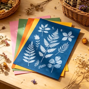 May include: A stack of colorful paper sheets with botanical prints. The top sheet is a deep blue with white leaf and flower designs. Other sheets are pink, green, and yellow. Dried flowers and woven baskets are in the background.
