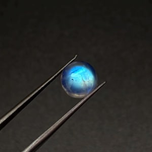 May include: A small, round, translucent moonstone cabochon displaying a vibrant blue adularescence, held securely by a pair of thin, silver-toned metal tweezers against a dark, solid background.