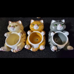 May include: Three ceramic cat-shaped planters in a row. The cats are in shades of yellow, orange, and gray, each with a round opening for planting. They have pink noses, green eyes, and white paws. The planters are designed to sit upright.