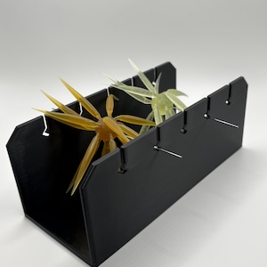 May include: A black rectangular storage container with notched edges and metal pins protruding from the sides. Inside the container are two translucent, multi-legged, star-shaped objects, one in a golden amber color and one in a pale yellow.