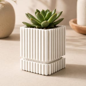 Peut inclure: Un pot de fleurs carré blanc avec une texture nervurée verticale et un plateau de base carré assorti. Le pot contient une plante succulente verte aux feuilles épaisses et pointues disposées en rosette. Le design présente des lignes épurées.