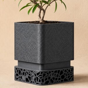 Voronoi Planter with Drainage Tray, Small Succulent Pot, 3D Printed Plant Pot, Architectural Cactus Planter