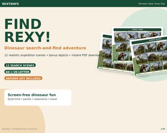 Libro de búsqueda de dinosaurios / 12 escenas realistas, objetos adicionales (descarga en PDF)