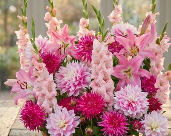 Kit de jardinería de bulbos de flores / Mezcla de algodón de azúcar / Dalias, gladiolos, lirios, planta fácil