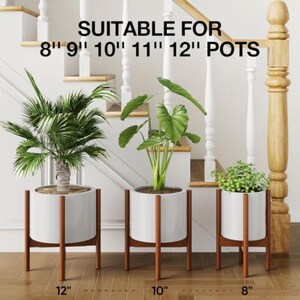 May include: Three white ceramic plant pots on wooden stands, each with a different plant. The pots are labelled 20 cm, 25 cm, and 30 cm in diameter. The text at the top says "SUITABLE FOR 8" 9" 10" 11" 12" POTS".