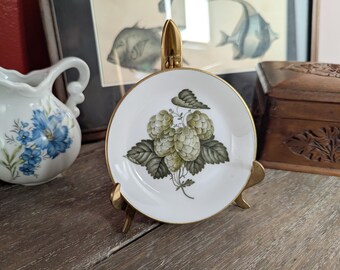 Royal Worcester Mathon Fine Bone China Teller von 1965, grünes Hopfenbeerenmotiv