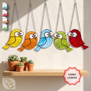 May include: Five stained glass bird ornaments in yellow, orange, blue, green, and red, each with large white eyes and black pupils, suspended by silver chains. Below, three small potted succulents sit on a wooden shelf with a hobby licence label.