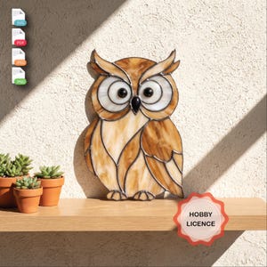 May include: A stained glass owl wall hanging featuring variegated tan and cream glass pieces joined by dark metal solder lines. The owl has large white circular eyes with black centers and a small black beak, presented as a digital file set.