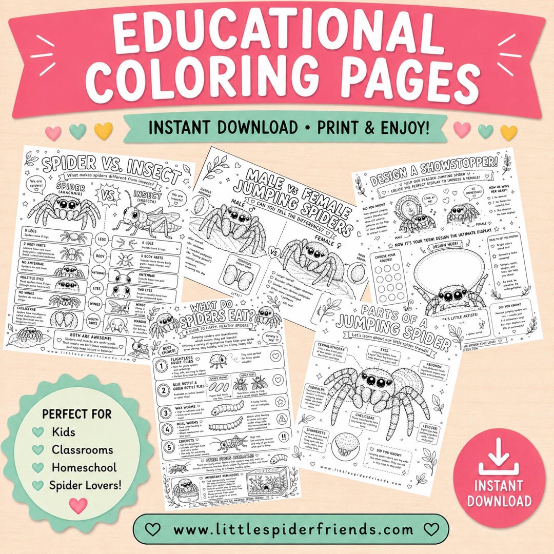 Spider Learning Educational Jumping Spider Coloring Pages Printable | Spider Learning ...