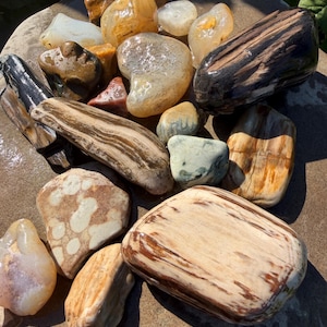Op de afbeelding: Een verzameling gepolijste stenen en stukken versteend hout in verschillende vormen en maten. Het assortiment bevat doorschijnende barnsteenkleurige agaten, gladde witte stenen en donkerbruin versteend hout met zichtbare nerven en texturen.