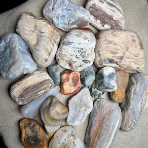 Op de afbeelding: Een verzameling van diverse gladde, getrommelde stenen in verschillende vormen en maten. De stenen vertonen natuurlijke patronen en kleuren, waaronder tinten beige, bruin, grijs, wit en één klein stukje met levendige rode en oranje wervelingen.