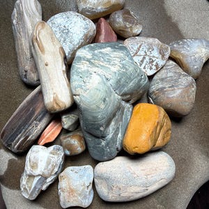 Gemengde agaat en versteend houtjaspis uit de Yellowstone-rivier, handgeplukt, 1,44 kg #C014