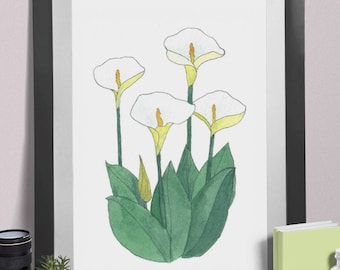 Peace Lilies Flower Print