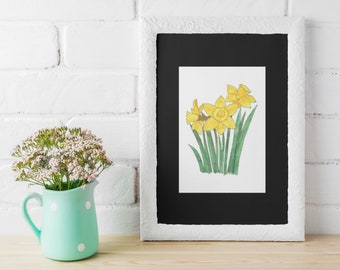Daffodil Watercolor Painting Print: Matted Floral Giclee