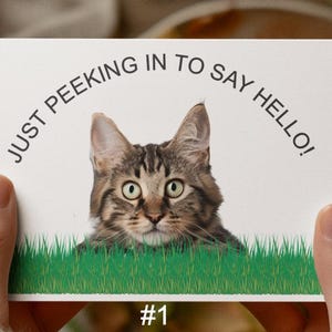 Cat Note Cards, Set of 10 Note Cards, Blank Cards