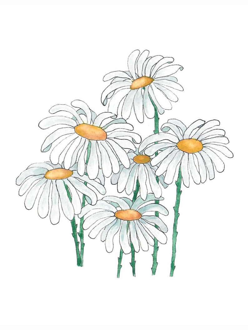 Daisy Note Cards, Set of Ten Note Cards, Watercolor Print Note Cards image 2