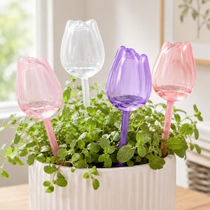 Puede incluir: Cuatro globos de riego para plantas con forma de tulipán en colores transparente, rosa claro, morado y rosa oscuro. Cada globo tiene un tallo largo y delgado insertado en una maceta de cerámica blanca con estrías verticales y una planta.