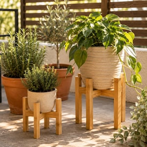 May include: Two wooden plant stands, one holding a small potted plant and the other supporting a larger plant. The stands are made of light-coloured wood and have a simple, geometric design. Several other potted plants are visible in the background.