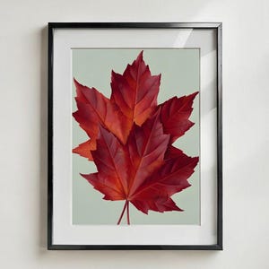 May include: A framed wall art print featuring two overlapping maple leaves in deep shades of red and orange. The leaves are centered against a pale sage green background, enclosed within a thin black rectangular frame with a white mat border.