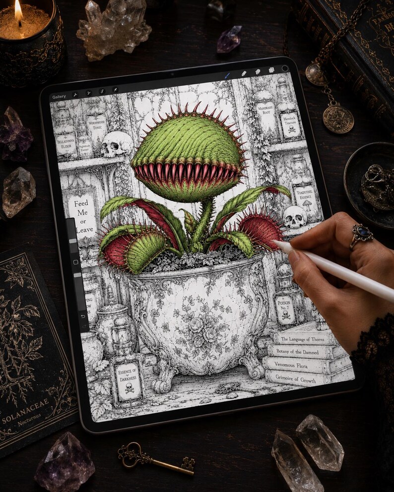 May include: A digital illustration on a tablet screen depicting a large, green, spiky Venus flytrap plant in an ornate, floral-patterned pot. The background features shelves with labeled potion bottles, skulls, and books with the text Feed Me or Leave.